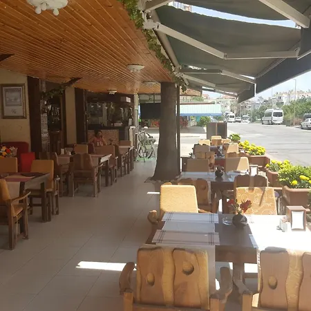 Damlatas Elegant 3* Алания