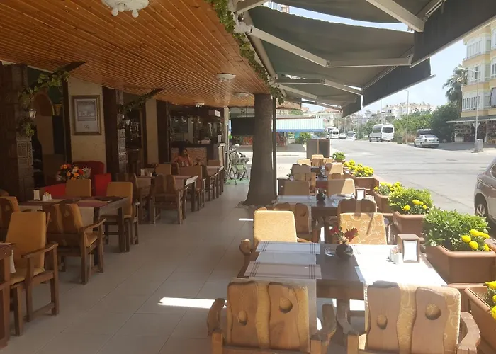 Damlatas Elegant 3* Алания