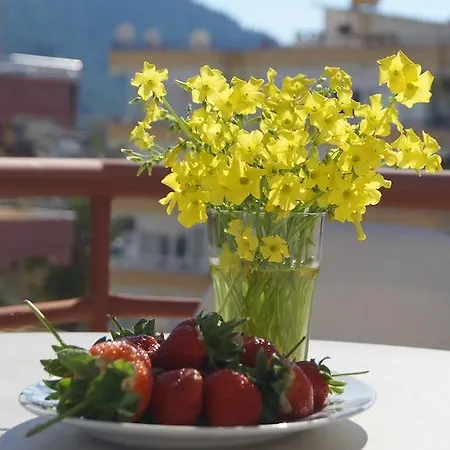 Damlatas Elegant Alanya