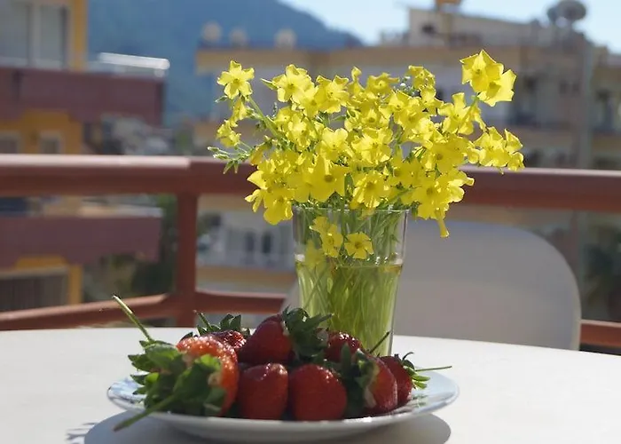 Damlatas Elegant Alanya